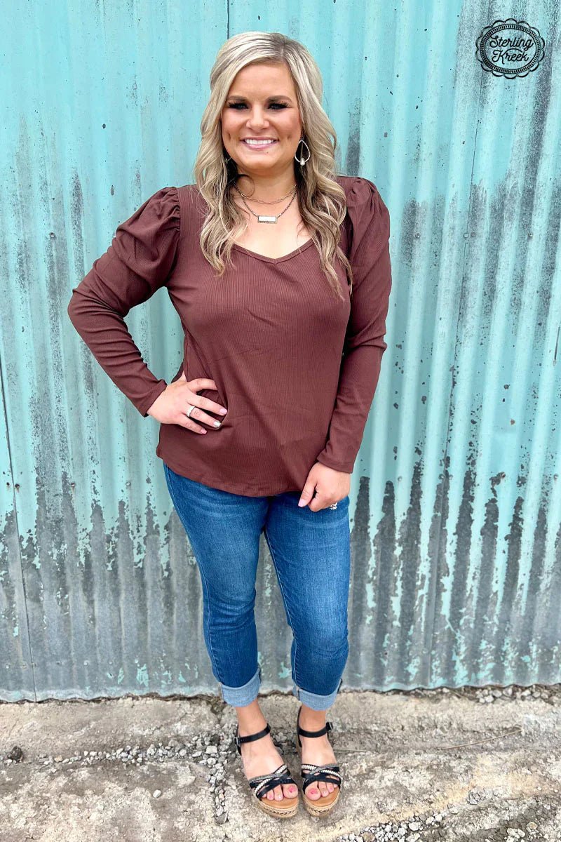 Plus Something Classy Brown Top | gussieduponline