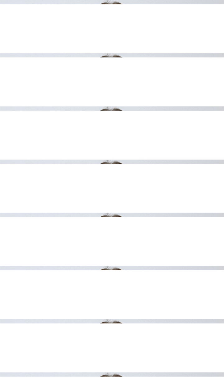 Celina - Long Trench Coat