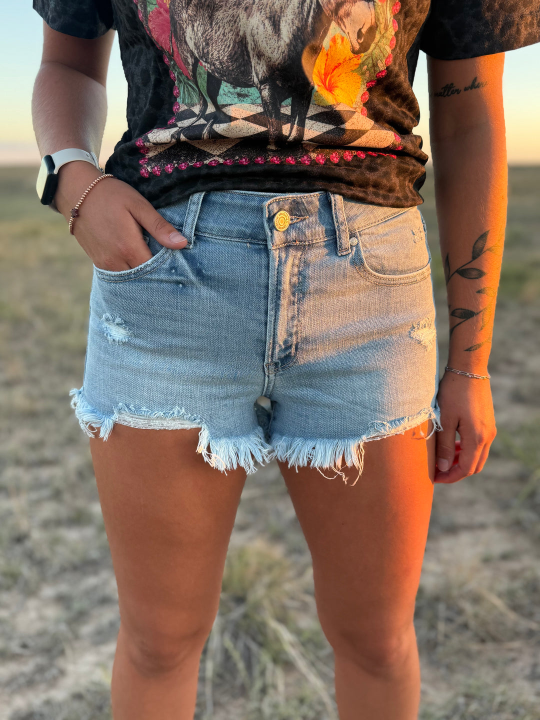 Light Wash High Rise Cut Off Distressed Denim Shorts
