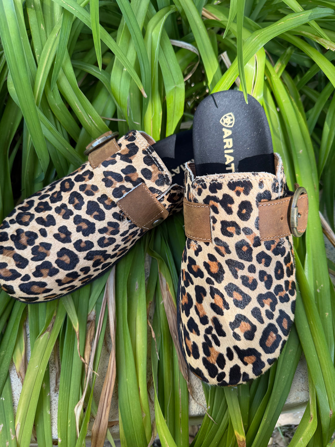 Ariat Leopard Hair On Country Mule