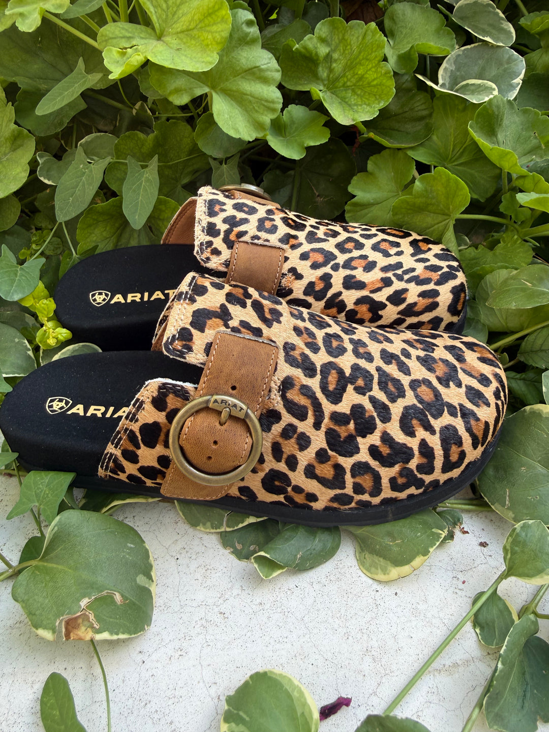Ariat Leopard Hair On Country Mule
