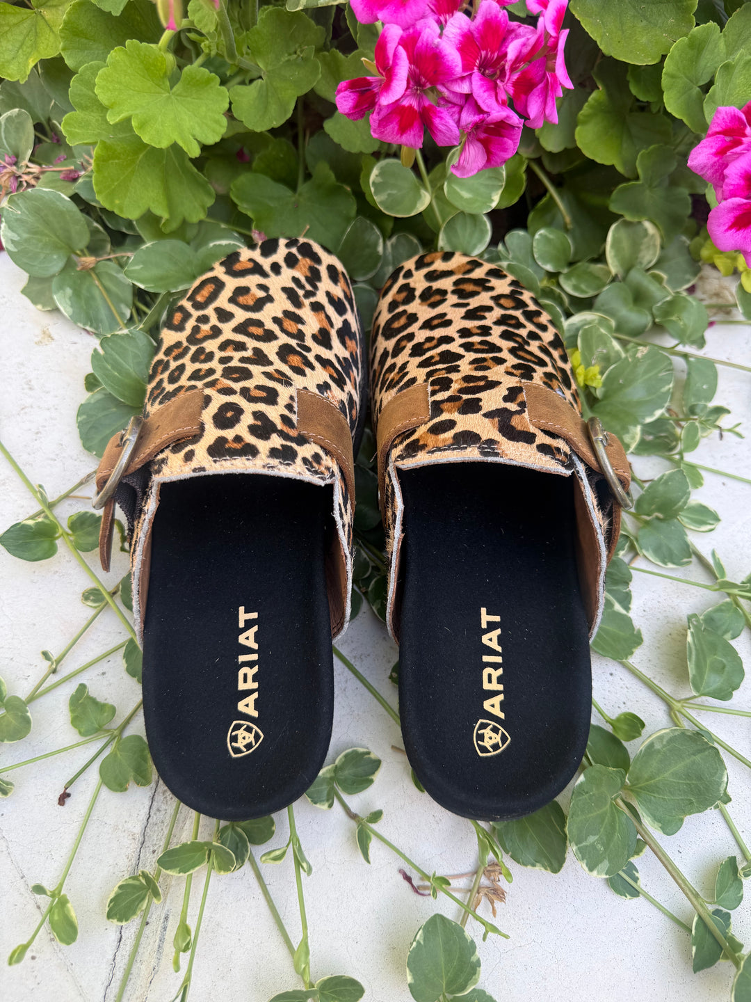 Ariat Leopard Hair On Country Mule