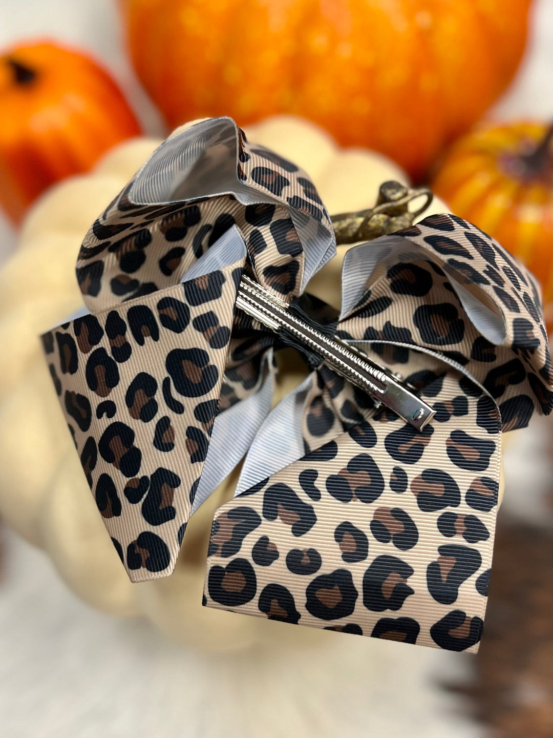 Cheetah Print Bow | gussieduponline