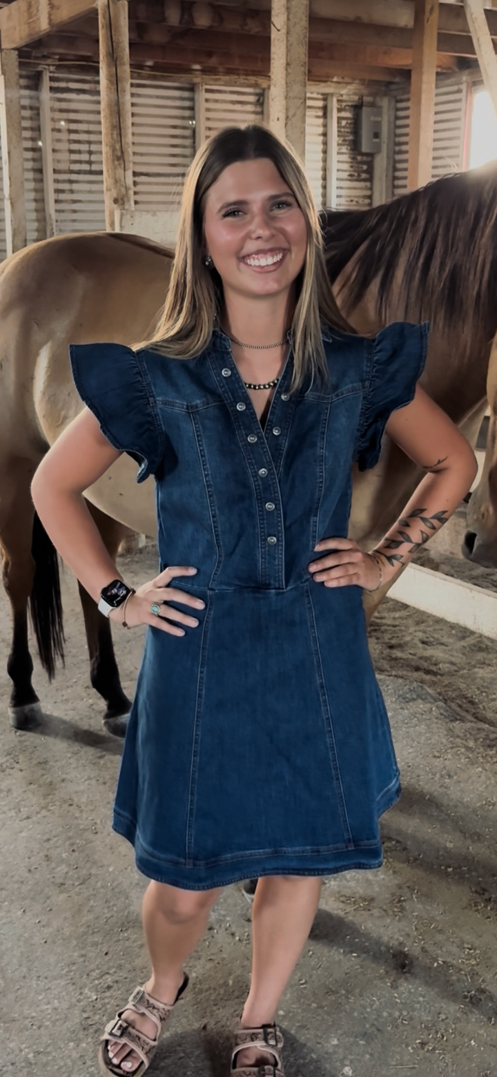 Denim Darling Dress