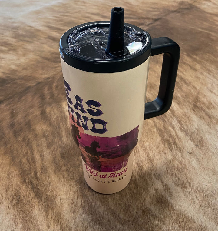 L&B Western Design 30oz. Flip Straw Tumbler- 5 Designs