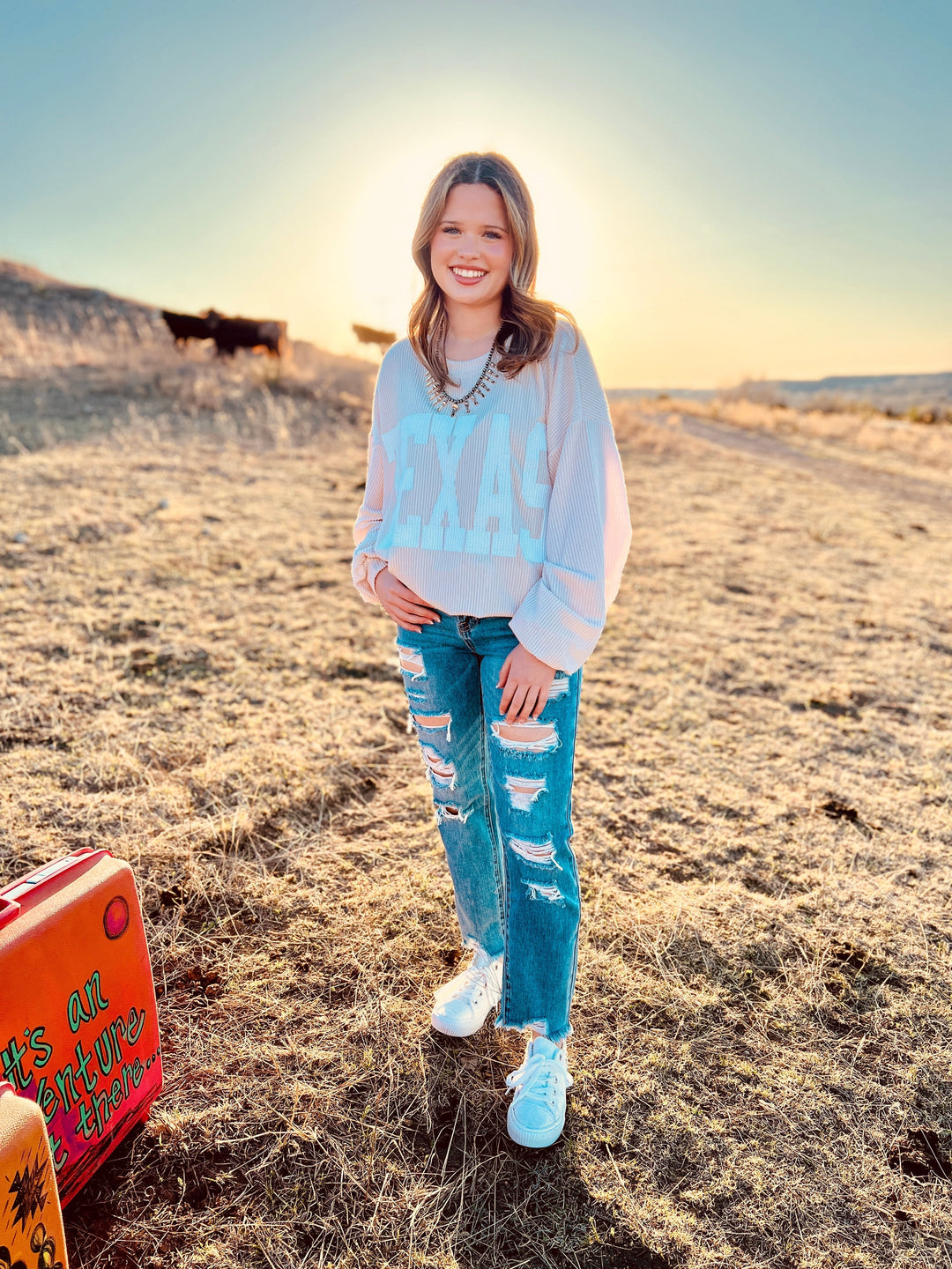The Texas Graphic Sweatshirt (MULTIPLE COLORS) | gussieduponline