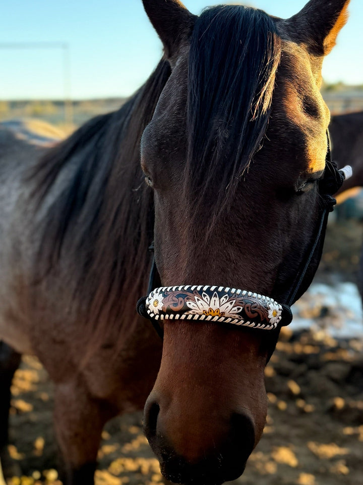 Myra Tooled Leather Horse Halter | gussieduponline