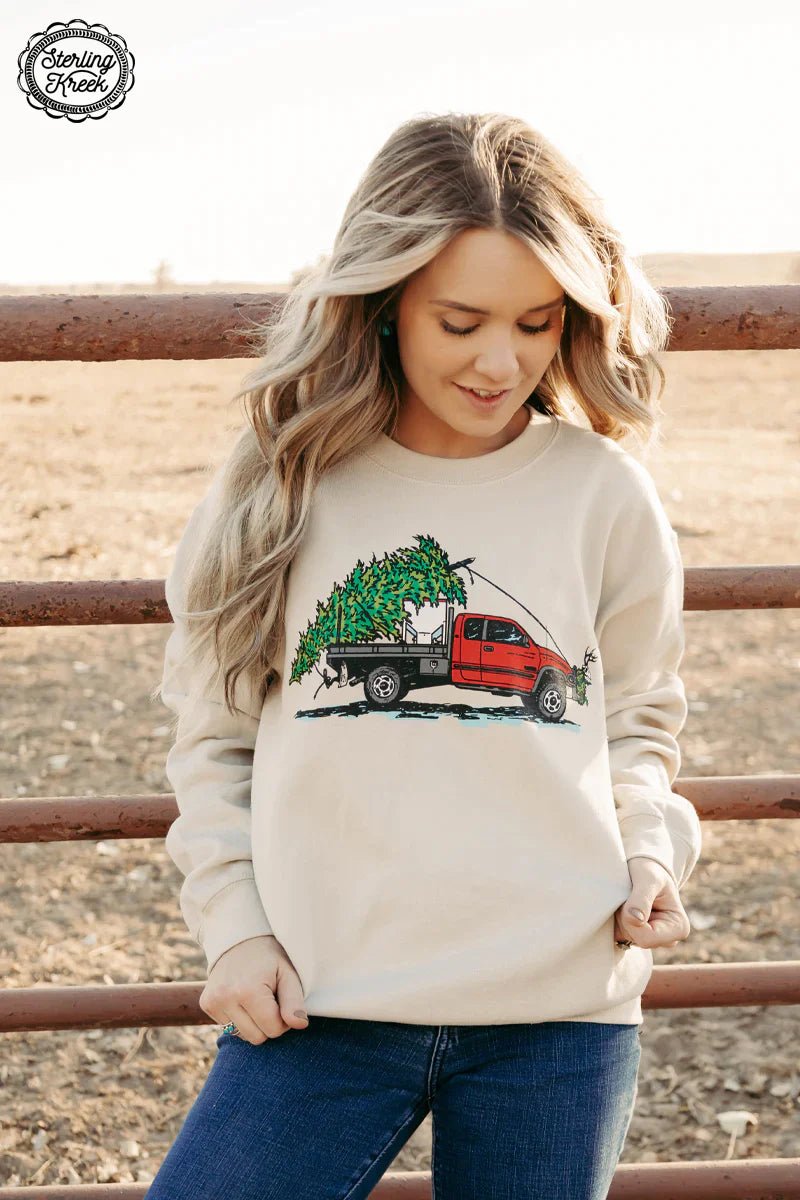 PLUS Cake Wagon Christmas Sweater | gussieduponline